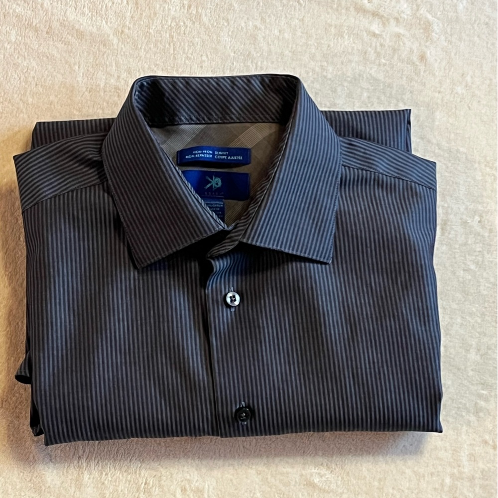 Egara Striped Dress Shirt